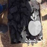 فروش زغال کبابی انگور ،  پسته ،  تخریبی در لاهیجان در گروه خرید فروش عمده چوب- زغال چوب گردو تبریزی خام در یکمیوه