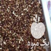 فروش مغز ریز پسته موشو در رفسنجان در گروه پسته - کوهی شامی خام اکبری تازه کله قوچی در یکمیوه