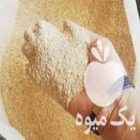 فروش پوست پسته پودر شده اسیاب شده در کرمان  در گروه پسته - کوهی شامی خام اکبری تازه کله قوچی در یکمیوه