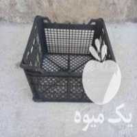 فروش سبد میوه گوجه در شال در گروه خرید فروش انواع سبد - میوه پلاستیکی چوبی گل در یکمیوه