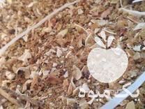 فروش پوست پسته  ، خوراک دامی در کاشمر در گروه خوراک دام و طیور - پرواری شیری علوفه یونجه در یکمیوه -عکس1