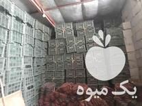 فروش سبد سیب و میوه در مراغه در گروه خرید فروش انواع سبد - میوه پلاستیکی چوبی گل در یکمیوه -عکس1