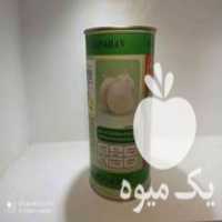 فروش بذر پیاز روز کوتاه در جیرفت در گروه خرید فروش بذر - انواع محصول کشاورزی گوجه کتان میوه درخت در یکمیوه