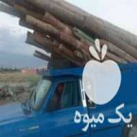 خریدچوب باغی و چوب سقفی تیرچوبی چوب کهنه در قوچان در گروه خرید فروش عمده چوب- زغال چوب گردو تبریزی خام در یکمیوه