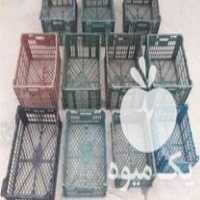 فروش سبد سیب و میوه به تعداد 11 عدد در مراغه در گروه خرید فروش انواع سبد - میوه پلاستیکی چوبی گل در یکمیوه