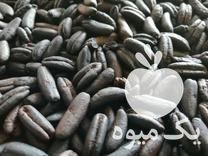 فروش 10 تن هسته خرما تفت خورده و کاملا رست شده برا قهوه در تهران در گروه خرید فروش عمده خرما - کبکاب تازه زاهدی خشک خارک در یکمیوه -عکس1