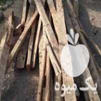 فروش چوب خشک و سالم در اصفهان در گروه خرید فروش عمده چوب- زغال چوب گردو تبریزی خام در یکمیوه
