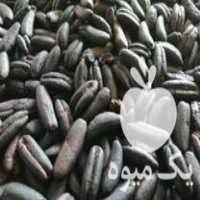 فروش 10 تن هسته خرما تفت خورده و کاملا رست شده برا قهوه در تهران در گروه خرید فروش عمده خرما - کبکاب تازه زاهدی خشک خارک در یکمیوه