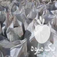 آگهی مشابه خدمات بوجاری بذر شعبانی در قباق در گروه سورتینگ در یکمیوه