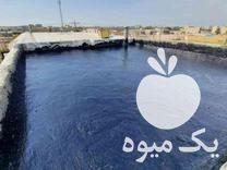 فروش ایزوفیکس - ایزومکس - ایزوگام مایع در کرمان  در گروه ماهی سفید - جنوب شمال رودخانه پرورشی خرید فروش در یکمیوه -عکس1