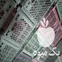 فروش سبد گوجه 18 کیلویی در لار در گروه خرید فروش انواع سبد - میوه پلاستیکی چوبی گل در یکمیوه