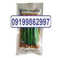 فروش بذر خیار ویکتوریا با کیفیت در تهران در گروه خرید فروش بذر - انواع محصول کشاورزی گوجه کتان میوه درخت در یکمیوه