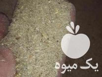 فروش خوراک دام وطیور در درجزین در گروه خوراک دام و طیور - پرواری شیری علوفه یونجه در یکمیوه -عکس1