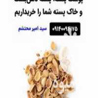 خرید پوست پسته فله و گونی شده در کرمان  در گروه پسته - کوهی شامی خام اکبری تازه کله قوچی در یکمیوه