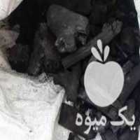 فروش زغال باغی و کبابی در تهران در گروه خرید فروش عمده چوب- زغال چوب گردو تبریزی خام در یکمیوه