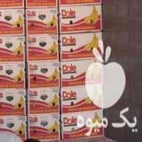 بزرگترین انبار خرید ،  واجاره جعبه جاموزی جفت نو ، کارتن موز در تهران در گروه خرید فروش انواع بسته بندی کاغذی - کارتن مقوا در یکمیوه