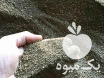 فروش پودر ها هسته در اقلید در گروه خرید فروش عمده خرما - کبکاب تازه زاهدی خشک خارک در یکمیوه -عکس1