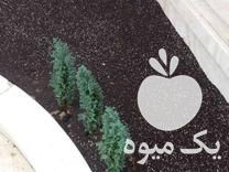 فروش خاک کود حیوانی در تهران در گروه خرید فروش کود و مواد شیمیایی - اوره پتاس مرغی کمپوست آهن در یکمیوه -عکس1