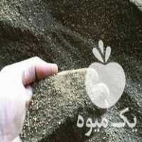 فروش پودر ها هسته در اقلید در گروه خرید فروش عمده خرما - کبکاب تازه زاهدی خشک خارک در یکمیوه