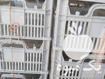 فروش جعبه تبق در ارومیه در گروه خرید فروش عمده شلیل - شمس شبرنگ مغان انجیری سبز رفعتی در یکمیوه -عکس1