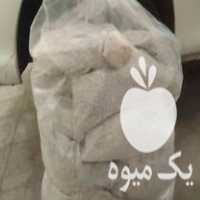 فروش بذر قارچ  گندم استریل در تهران در گروه خرید فروش بذر - انواع محصول کشاورزی گوجه کتان میوه درخت در یکمیوه