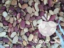 فروش خوراک دام ضایعات لوبیا در شیراز در گروه خوراک دام و طیور - پرواری شیری علوفه یونجه در یکمیوه -عکس1