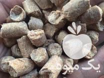 فروش خوراک دام تفاله گندم محصول کشور قزاقستان در کرج در گروه خوراک دام و طیور - پرواری شیری علوفه یونجه در یکمیوه -عکس1