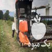 فروش کنباین زنجیری برنج در رشت در گروه خرید فروش ماشین آلات کشاورزی - تراکتور تیلر کمباین مدرن در یکمیوه