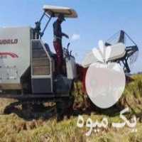 فروش کمباین ورد 2019 آس در آمل در گروه خرید فروش ماشین آلات کشاورزی - تراکتور تیلر کمباین مدرن در یکمیوه