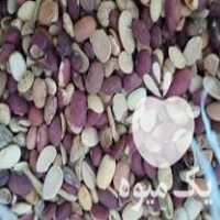 فروش خوراک دام ضایعات لوبیا در شیراز در گروه خوراک دام و طیور - پرواری شیری علوفه یونجه در یکمیوه