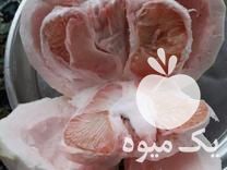 فروش ارائه قلم مرکبات پوملو ملقب به سلطان مرکبات گلدانی در ساری در گروه خرید فروش عمده گیاهان زینتی - گرمسیری آپارتمانی باغچه آب در یکمیوه -عکس1