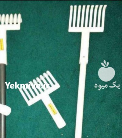 چنکگ زیتون چین در کرمان  در گروه خرید فروش لوازم باغبانی - خرید فروش نو دست دوم در یکمیوه