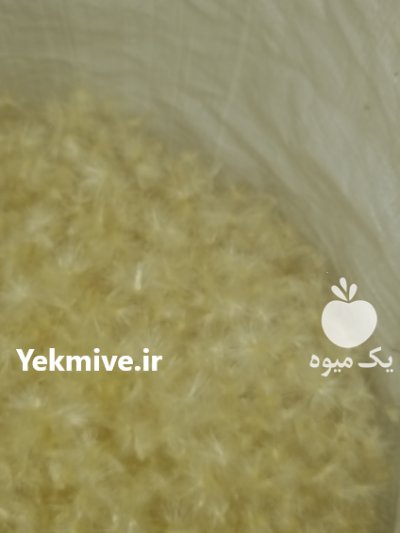 قاصدک تمیز و بدون خورد شدگی در گنبد کاووس در گروه خرید فروش عمده گیاهان دارویی - معطر خشک خواص دار در یکمیوه -عکس2