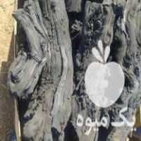 فروش ذغال انگور در بوئین زهرا در گروه خرید فروش عمده چوب- زغال چوب گردو تبریزی خام در یکمیوه