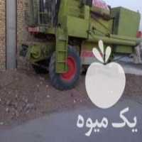 فروش کمباین کلاس کاه کوب در همدان در گروه خرید فروش ماشین آلات کشاورزی - تراکتور تیلر کمباین مدرن در یکمیوه