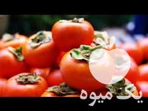 فروش قلم خرمالو نژاد گوجه ای در ساری در گروه خرید فروش عمده خرمالو - خرمالو رسیده نارس برگ عمده در یکمیوه -عکس1