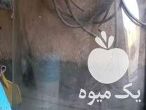 فروش کمباین شیشه در سنقر در گروه خرید فروش ماشین آلات کشاورزی - تراکتور تیلر کمباین مدرن در یکمیوه -عکس1