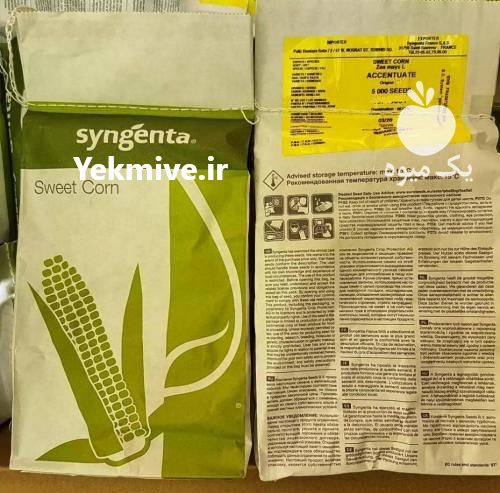 فروش بذر ذرت اکسن چوییت در تهران در گروه خرید فروش بذر - انواع محصول کشاورزی گوجه کتان میوه درخت در یکمیوه -عکس1