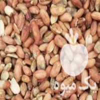 خرید ضایعات بادام زمینی عمده و خرده در اردبیل در گروه بادام - درختی کوهی زمینی فروش عمده در یکمیوه
