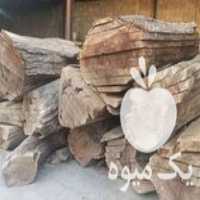 فروش چوب خشک گردو در اسلامشهر در گروه خرید فروش عمده چوب- زغال چوب گردو تبریزی خام در یکمیوه