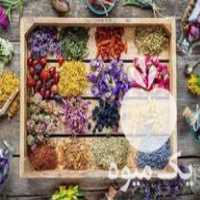 فروش بذر گیاهان دارویی و خاص و کمیاب در گلستان در گروه خرید فروش بذر - انواع محصول کشاورزی گوجه کتان میوه درخت در یکمیوه