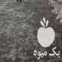 فروش کود مرغ سالنی قفسی در آبیک در گروه خرید فروش کود و مواد شیمیایی - اوره پتاس مرغی کمپوست آهن در یکمیوه