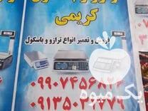 فروش ترازو و باسکول در رفسنجان در گروه تره بار - نیرو همکار شهرداری تهران مرکزی در یکمیوه -عکس1