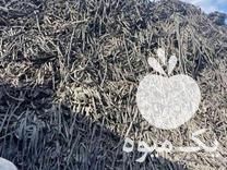 خرید ضایعات نوار تیپ در شیروان در گروه خرید فروش عمده زعفران - قائنات قیمت خراسان بهرامن گرم در یکمیوه -عکس1