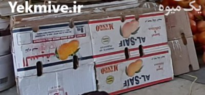 خریدار کارتن انبه در کامیاران در گروه خرید فروش انواع بسته بندی کاغذی - کارتن مقوا در یکمیوه