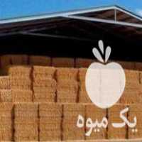 فروش یونجه کاه جو ذرت گندم سویا کنسانتره علوفه دام در تهران در گروه خوراک دام و طیور - پرواری شیری علوفه یونجه در یکمیوه