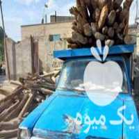 خرید چوب کهنه و انواع درخت قلمه سوید گردو قره اغاج و   در اردبیل در گروه خرید فروش عمده چوب- زغال چوب گردو تبریزی خام در یکمیوه