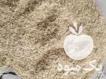 فروش سبوس برنج دانه دار برای دام مرغ و انواع حیوانات در بیجار در گروه خرید فروش عمده برنج - نیم دانه عنبر بو هاشمی کاظمی هندی پاکستانی در یکمیوه -عکس1
