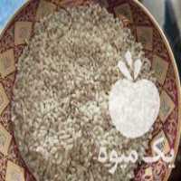 فروش برنج نیم دانه لاشه برنج هاشمی در قائم شهر در گروه خرید فروش عمده برنج - نیم دانه عنبر بو هاشمی کاظمی هندی پاکستانی در یکمیوه