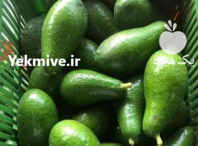 فروش میوه و هسته آووکادو تازه در اندیمشک در گروه خرید فروش عمده میوه استوایی - پاپایا قرمز منگوستین گواوا بلوبری در یکمیوه -عکس1